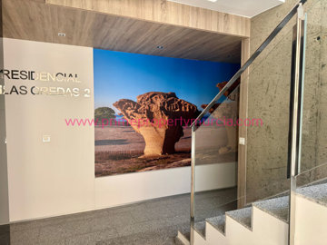 951-apartment-for-sale-in-bolnuevo-19566-larg