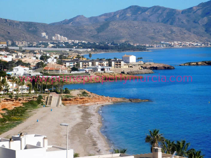 Image No.47-Villa de 4 chambres à vendre à Isla Plana