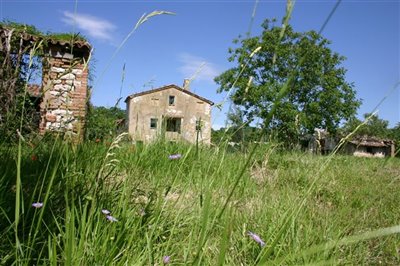 vendita-gruppo-di-fabbricati-ancona-rif-zoi-8