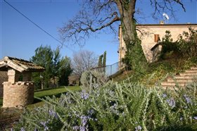 Image No.3-Maison de 5 chambres à vendre à Castelleone Di Suasa