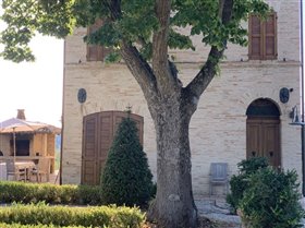 Image No.5-Maison de 5 chambres à vendre à Castelleone Di Suasa