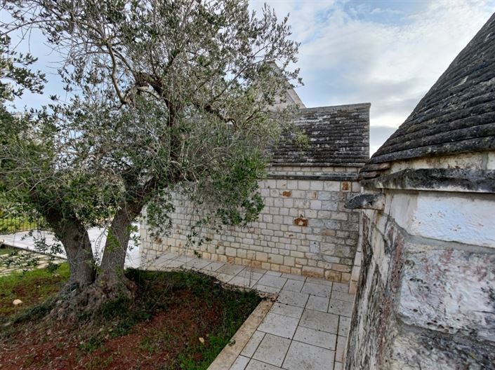 Image No.11-3 Bed Country House for sale