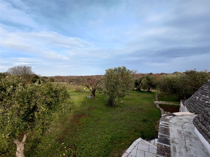 Image No.24-3 Bed Country House for sale