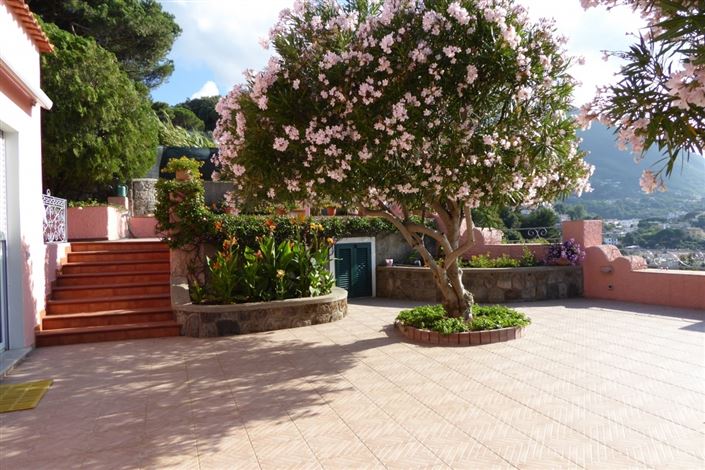 Image No.12-3 Bed House for sale