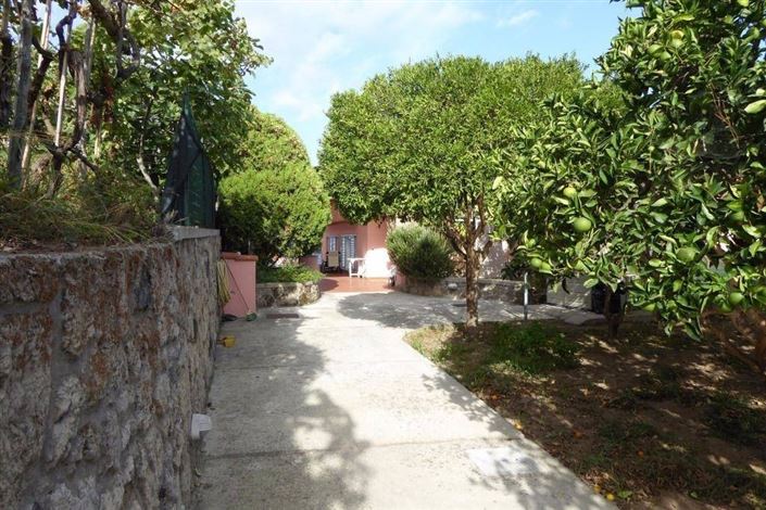 Image No.22-3 Bed House for sale