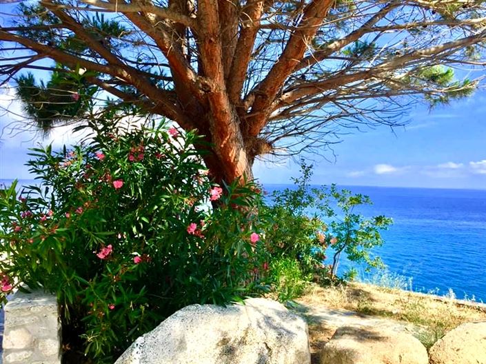Image No.5-Maison de 2 chambres à vendre à Tropea