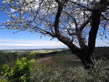 vendita-proprieta-indipendente-pesaro-e-urbin