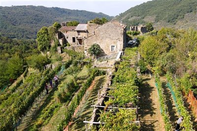 vendita-gruppo-di-fabbricati-massa-carrara-ri