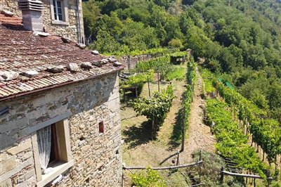 vendita-gruppo-di-fabbricati-massa-carrara-ri