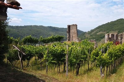 vendita-gruppo-di-fabbricati-massa-carrara-ri