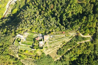 vendita-gruppo-di-fabbricati-massa-carrara-ri