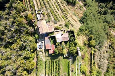 vendita-gruppo-di-fabbricati-massa-carrara-ri
