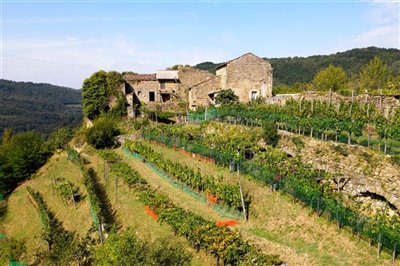vendita-gruppo-di-fabbricati-massa-carrara-ri