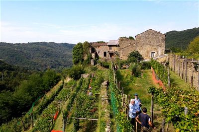 vendita-gruppo-di-fabbricati-massa-carrara-ri