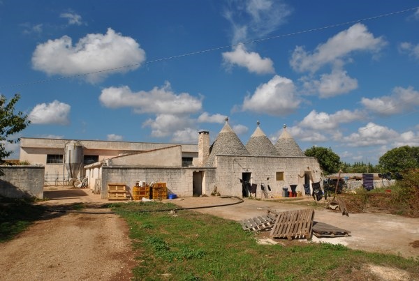 Image No.4-4 Bed Country House for sale