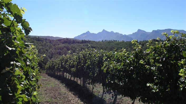 Image No.20-10 Bed Country Property for sale