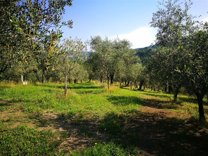 Image No.25-10 Bed Country Property for sale