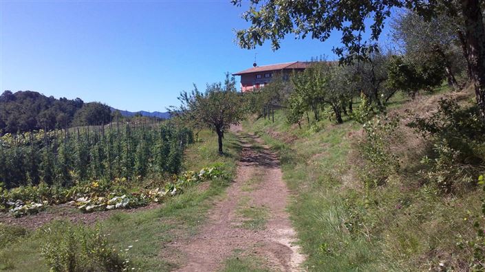 Image No.10-10 Bed Country Property for sale