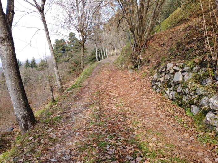 Image No.54-Maison de campagne de 3 chambres à vendre à Barga