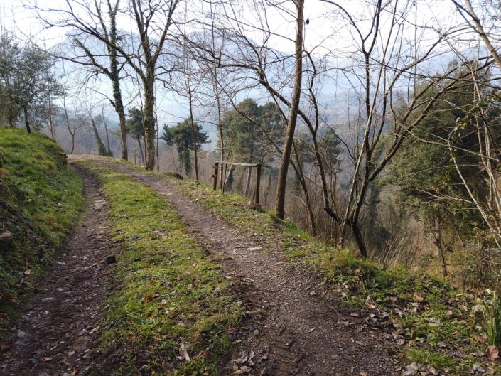 Image No.53-Maison de campagne de 3 chambres à vendre à Barga