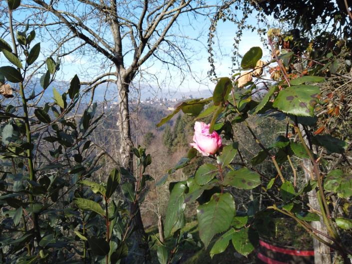 Image No.44-Maison de campagne de 3 chambres à vendre à Barga