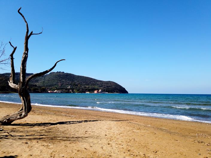 Image No.36-8 Bed Farmhouse for sale