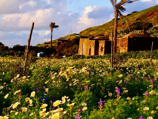 Image No.1-Maison de 1 chambre à vendre à Pantelleria