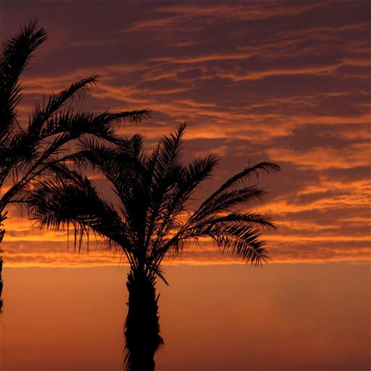 Image No.11-3 Bed House for sale