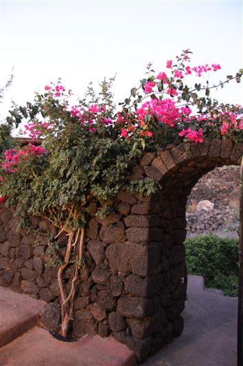 Image No.22-3 Bed House for sale