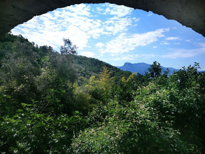 Image No.10-3 Bed House for sale