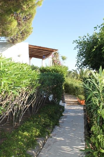 Image No.11-Maison de 2 chambres à vendre à Lipari