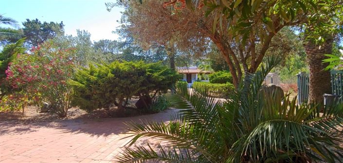 Image No.19-Maison de 3 chambres à vendre à Lipari