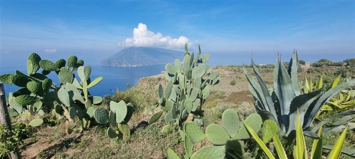 Image No.17-3 Bed House for sale