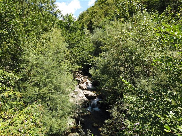 Image No.10-Maison de 2 chambres à vendre à Lucca