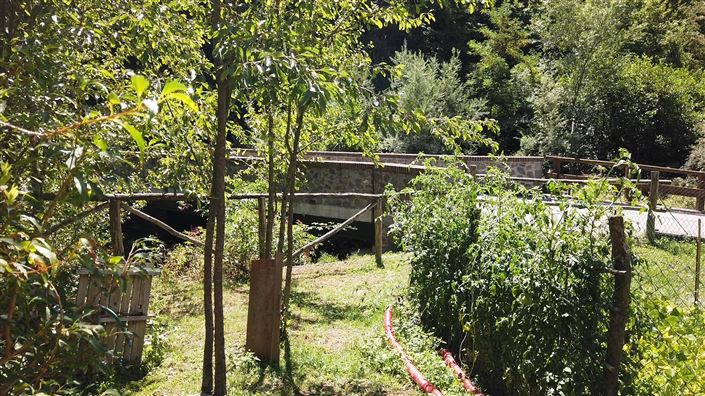 Image No.9-Maison de 2 chambres à vendre à Lucca