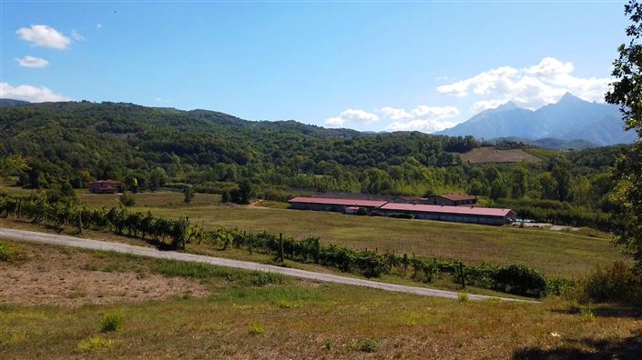 Image No.2-15 Bed Country House for sale