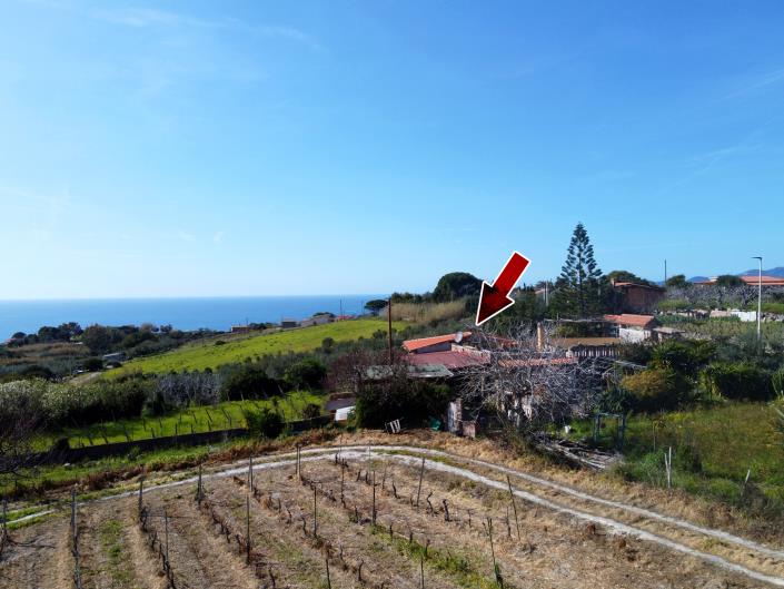 Image No.3-1 Bed House for sale