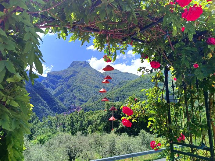 Image No.45-Maison / Villa de 3 chambres à vendre à Fivizzano