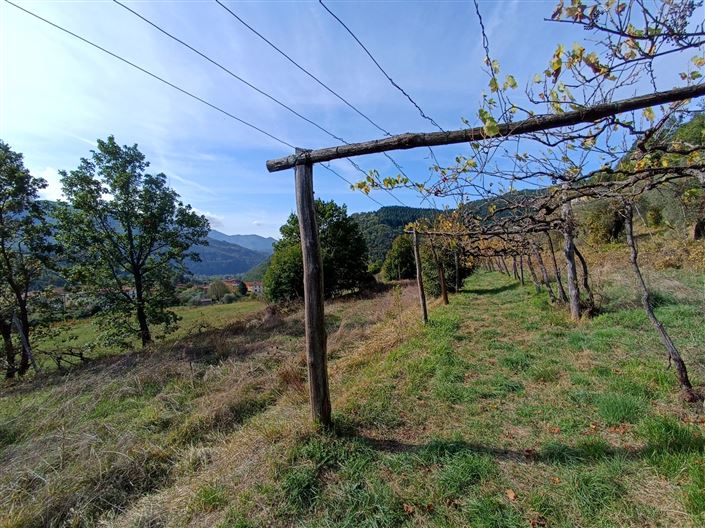 Image No.12-5 Bed Country House for sale