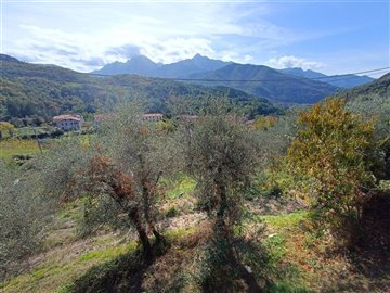 vendita-gruppo-di-fabbricati-massa-carrara-ri