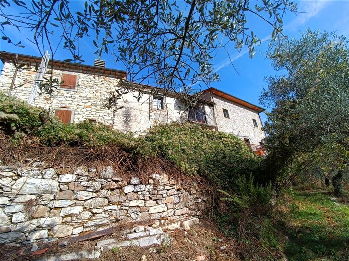 Image No.15-5 Bed Country House for sale