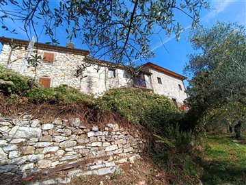 vendita-gruppo-di-fabbricati-massa-carrara-ri