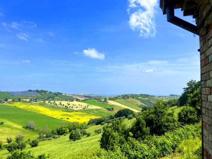 Image No.11-5 Bed Country House for sale