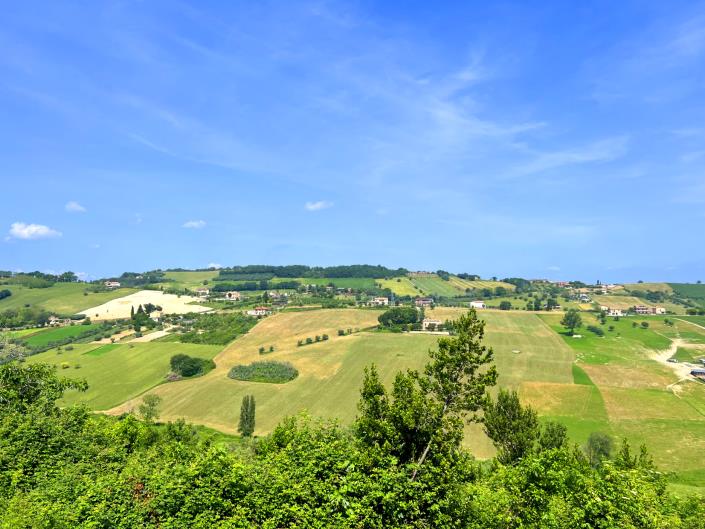 Image No.12-5 Bed Country House for sale