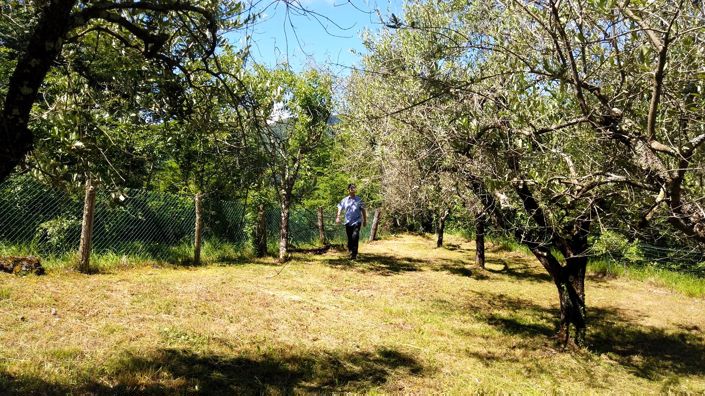 Image No.19-Maison de 3 chambres à vendre à Minucciano
