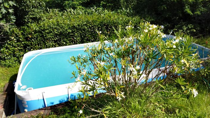 Image No.20-Maison de 3 chambres à vendre à Minucciano