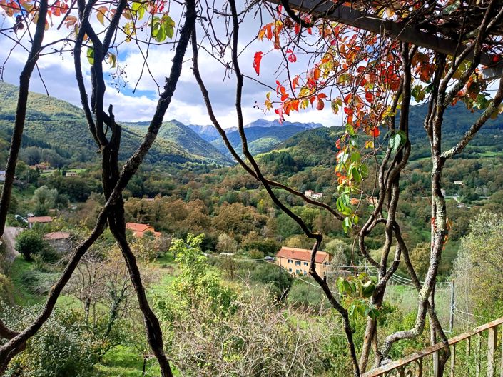 Image No.25-Maison de 2 chambres à vendre à Camporgiano