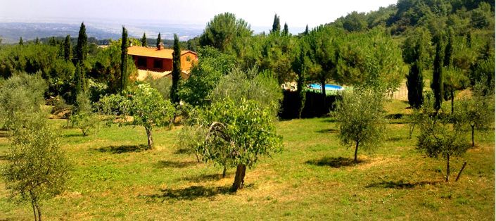 Image No.4-Maison de 2 chambres à vendre à Chianni