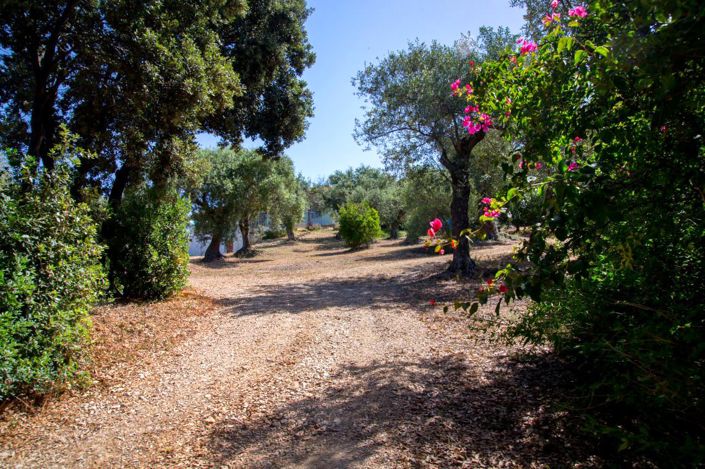 Image No.3-5 Bed House for sale