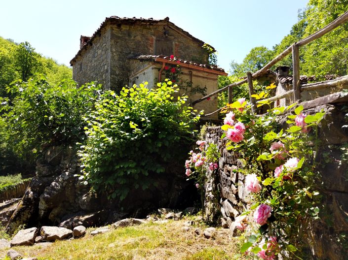 Image No.4-5 Bed House for sale